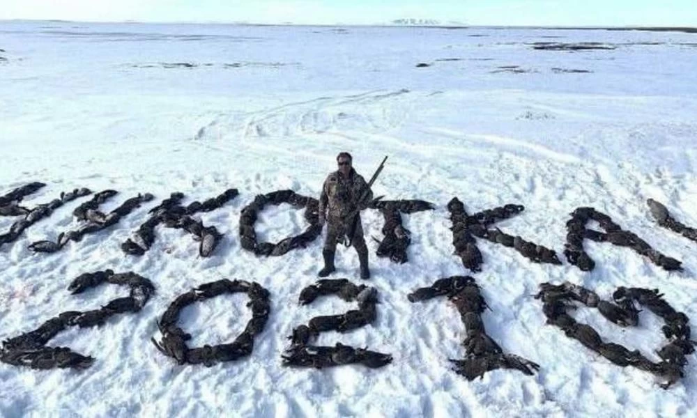 Ρωσία: Ποινική δίωξη σε βουλευτή- Φωτογραφήθηκε ανάμεσα σε εκατοντάδες νεκρές πάπιες